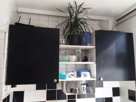 31eafb06420e5b465a10bdc5f811e4a4015382a02a58a7b11e3404b1