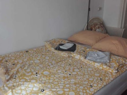 d0e81e36a89ba733dbed6d2a2514dd0b5280421cd99c67c9424f824f